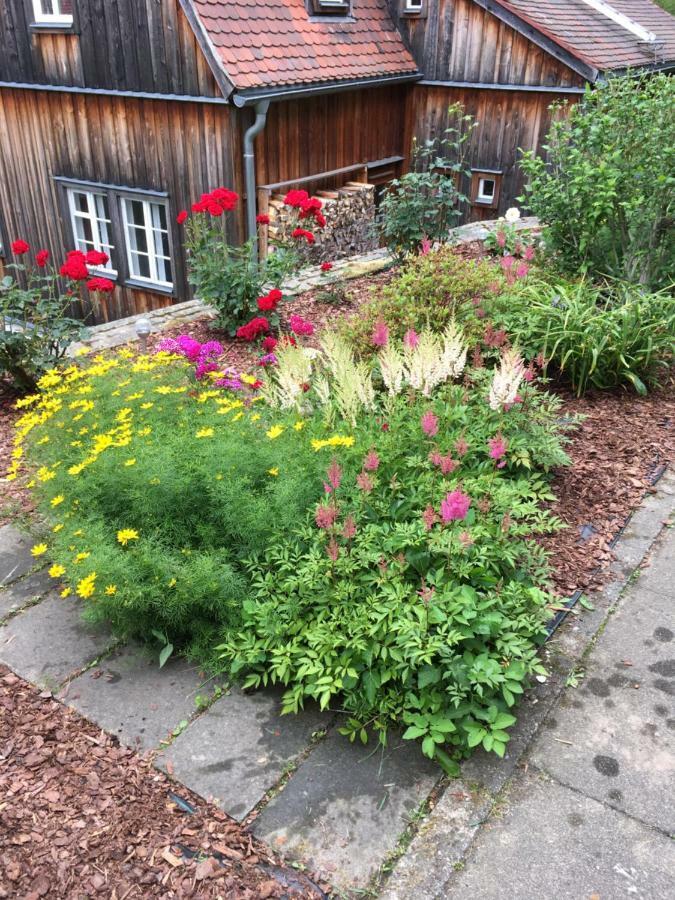 Hotel Haus Bergfriede Bad Schandau Exterior foto